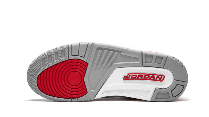 Air Jordan 3 Retro 'Katrina' (Hall of Fame)
